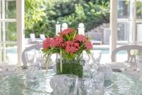 TheGrenadinesCollection