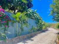 TheGrenadinesCollection