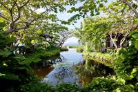 TheGrenadinesCollection