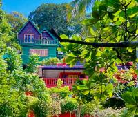 TheGrenadinesCollection