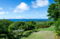 TheGrenadinesCollection