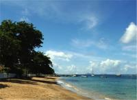 TheGrenadinesCollection