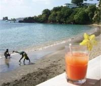 TheGrenadinesCollection