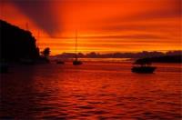 TheGrenadinesCollection