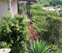 TheGrenadinesCollection