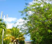 TheGrenadinesCollection