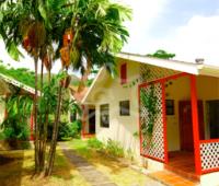 TheGrenadinesCollection