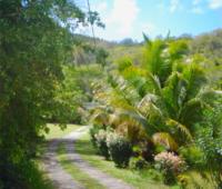 TheGrenadinesCollection