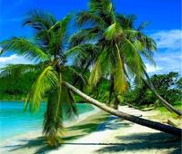 TheGrenadinesCollection