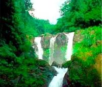 TheGrenadinesCollection