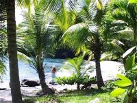 TheGrenadinesCollection