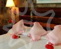 TheGrenadinesCollection