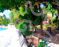 TheGrenadinesCollection