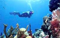 TheGrenadinesCollection