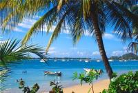 TheGrenadinesCollection