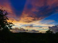 TheGrenadinesCollection