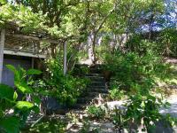 TheGrenadinesCollection