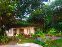 TheGrenadinesCollection