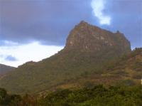 TheGrenadinesCollection