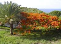 TheGrenadinesCollection