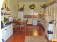 TheGrenadinesCollection