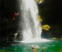 TheGrenadinesCollection