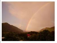 TheGrenadinesCollection