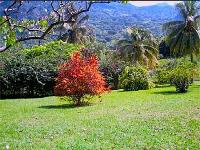 TheGrenadinesCollection