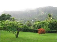 TheGrenadinesCollection