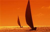 TheGrenadinesCollection