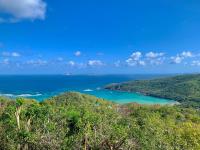 TheGrenadinesCollection