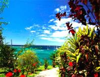 TheGrenadinesCollection