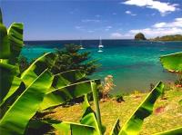 TheGrenadinesCollection