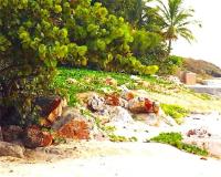 TheGrenadinesCollection