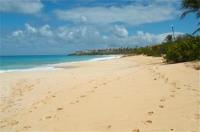 TheGrenadinesCollection