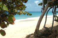 TheGrenadinesCollection