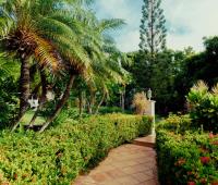 TheGrenadinesCollection