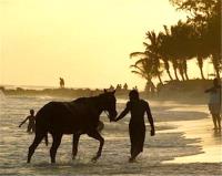 TheGrenadinesCollection