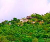 TheGrenadinesCollection