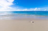 TheGrenadinesCollection