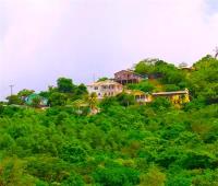 TheGrenadinesCollection