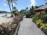 TheGrenadinesCollection