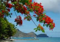 TheGrenadinesCollection