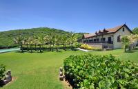 TheGrenadinesCollection