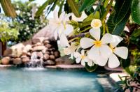 TheGrenadinesCollection