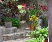 TheGrenadinesCollection