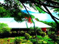 TheGrenadinesCollection