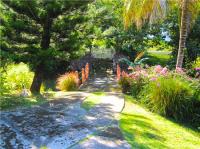 TheGrenadinesCollection