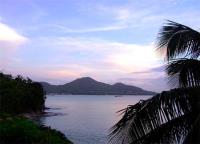 TheGrenadinesCollection