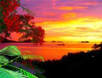 TheGrenadinesCollection